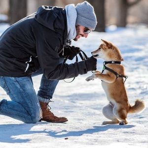 Meet your Posher, Marc-antoine